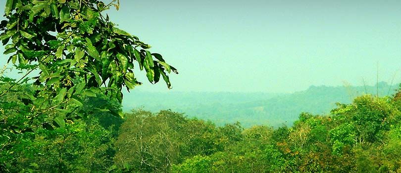 Eturnagaram Wildlife Sanctuary