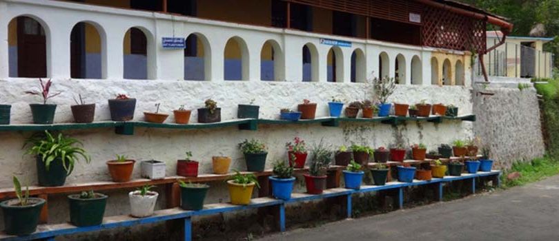 Flora and Fauna Museum