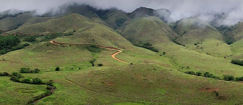 Mukurthi National Park