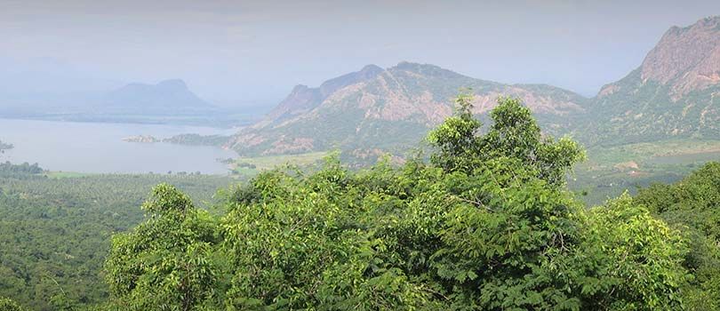 Palni Hills