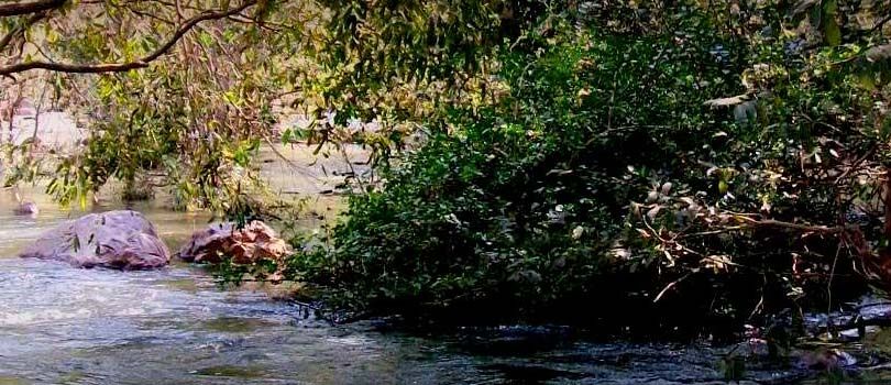 Bassi Wildlife Sanctuary