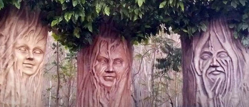 Pandit Jawaharlal Nehru Van Udyan