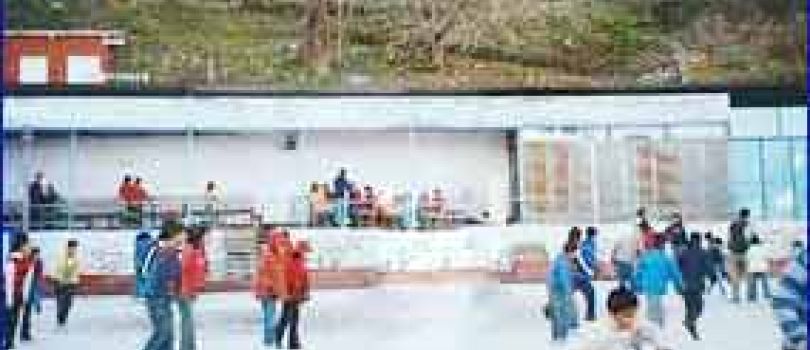 Shimla Manali Honeymoon Special Package 5N-6D
