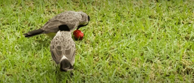 Karera Wildlife Sanctuary