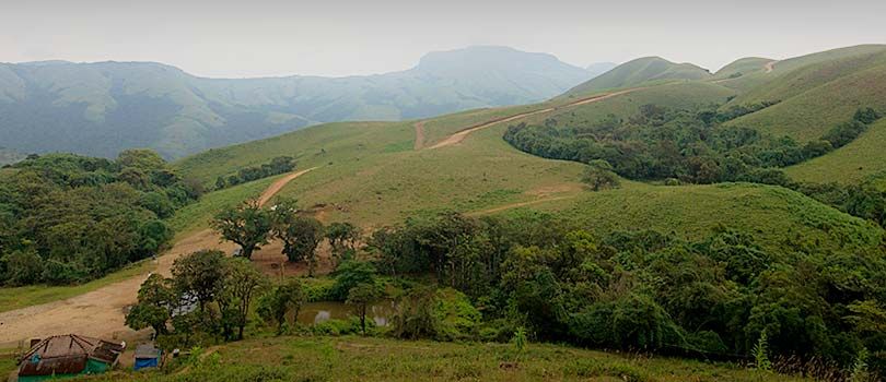Pushpagiri Wildlife Sanctuary