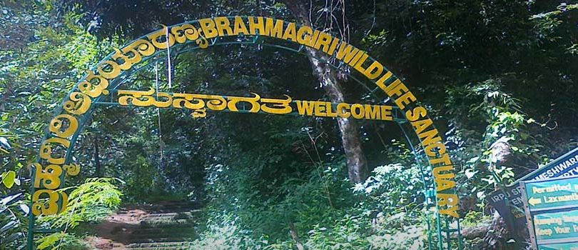 Brahmagiri Wildlife Sanctuary