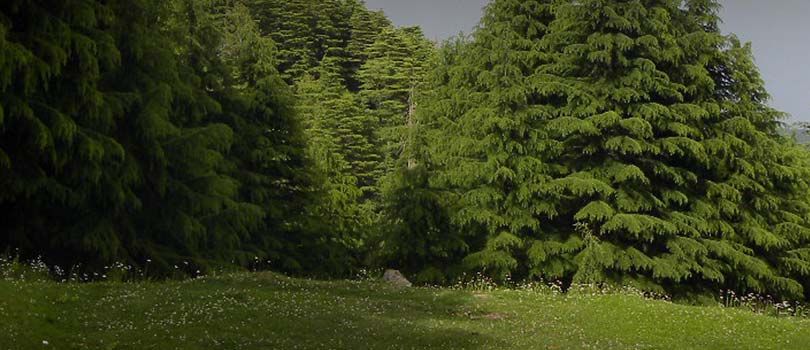 Kalatop Wildlife Sanctuary