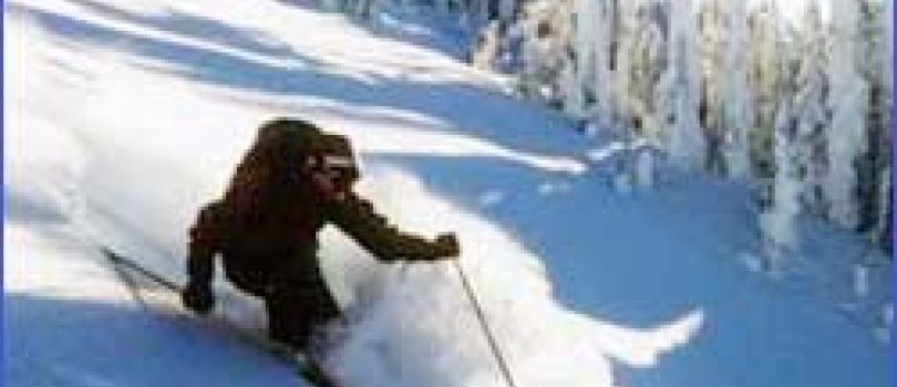 (06 Nights / 07 Days) Gangtok 2 N + Pelling 2 N + Darjeeling 2 N