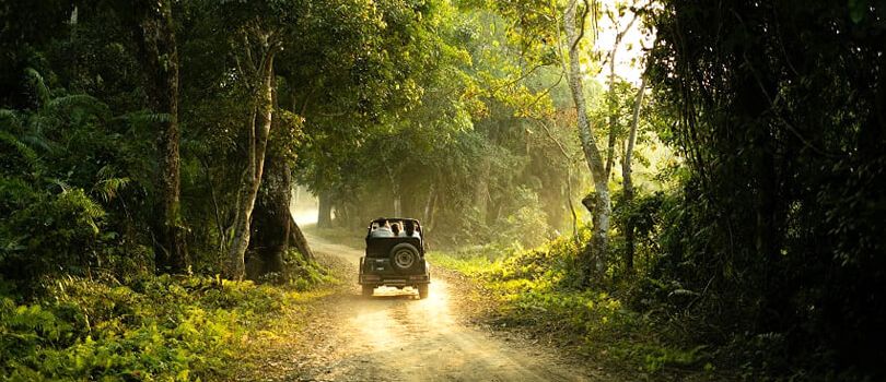 Bherjan-Borjan-Padumoni Wildlife Sanctuary