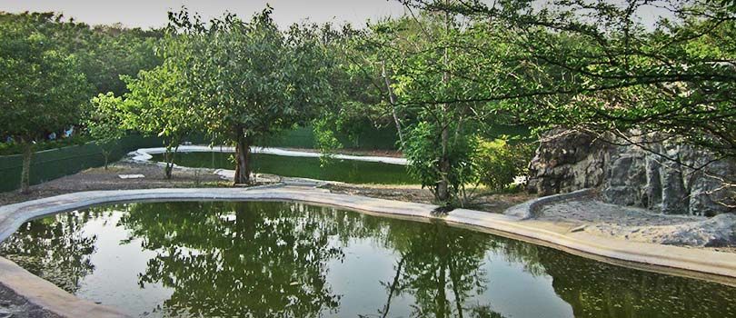 Pradhyuman Zoological Park