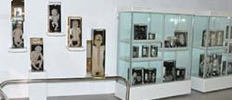 Museum of Anatomy and Pathology