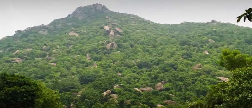 Tapovan Caves and Hills