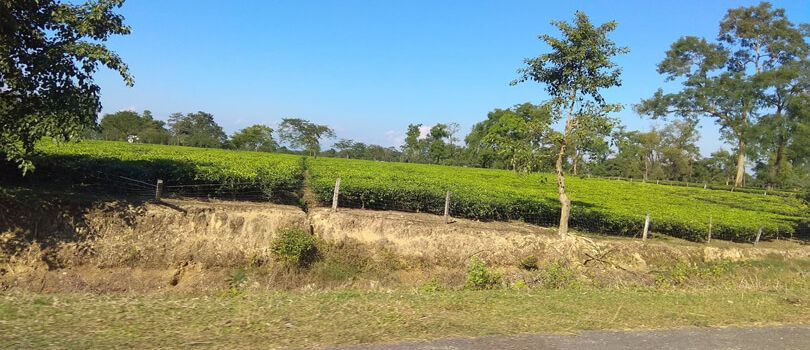 Sarumechlow and Bormechow Maidam