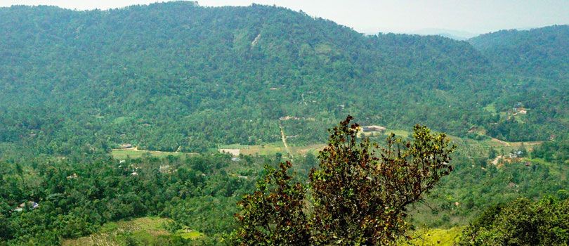 Murikkady