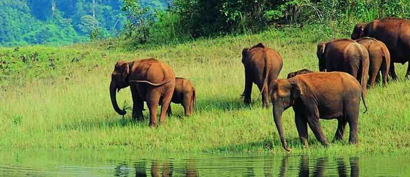 Begur Wildlife Sanctuary