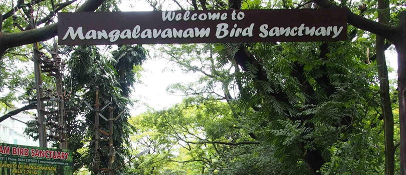 Mangalavanam Bird Sanctuary