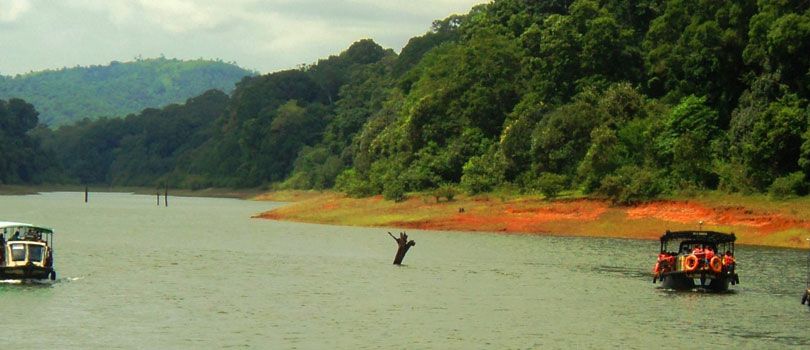 Pandikuzhi