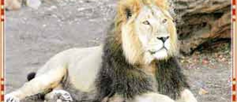 Gujarat Wonders 7 Days of Adventure with SOU & Diu Day Excursion
