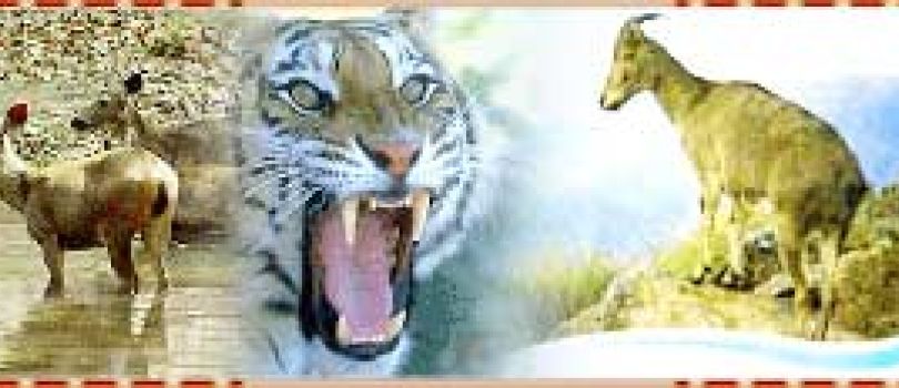 Bangalore - Mysore - Ooty Tour Package 5 Night - 6 Days