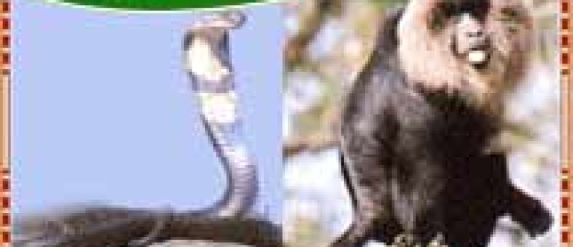 New Delhi - Agra - Bangalore - Nagarhole - Dandeli - Goa - Mumbai Tour