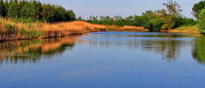 Sangram Sagar And Bajnamath