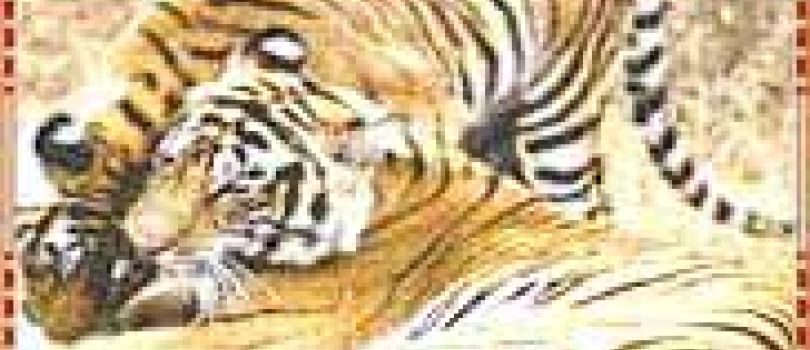 Golden Triangle & Wildlife Tour