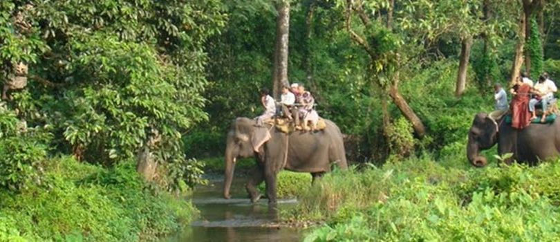 Top Tourist Places To Visit in Mashobra