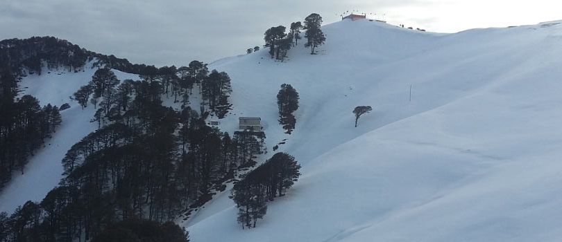 Shikari Devi Wildlife Sanctuary