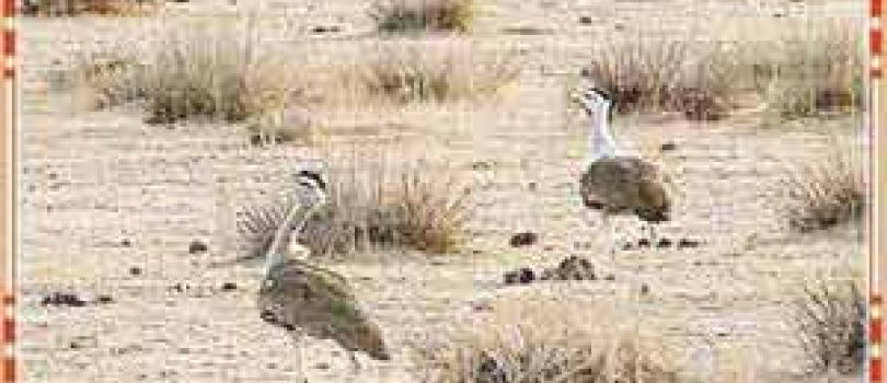 Rajasthan Tour Package 4 Night - 5 Days