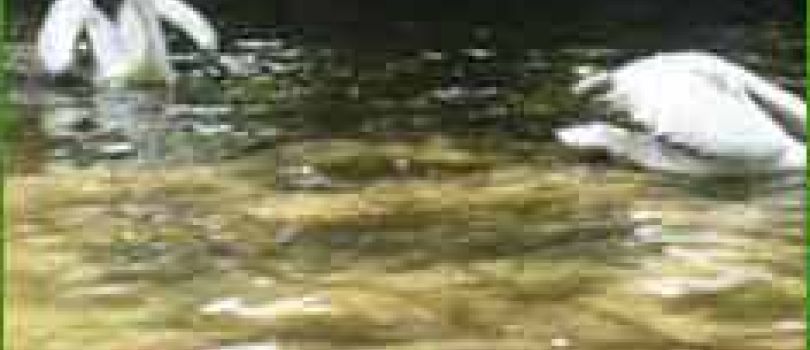 South India Tour Package