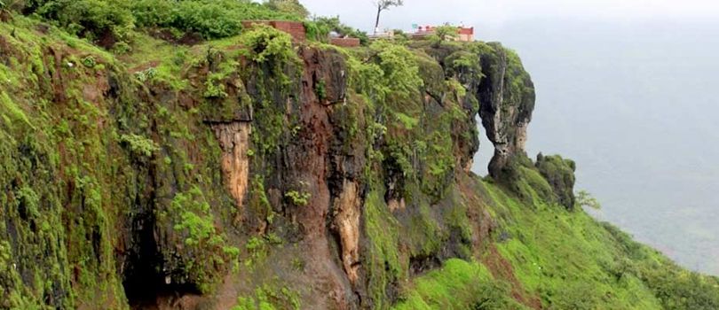 Elephant's Head Point