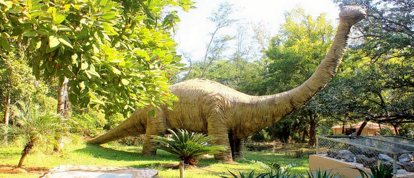 Shivalik Fossil Park