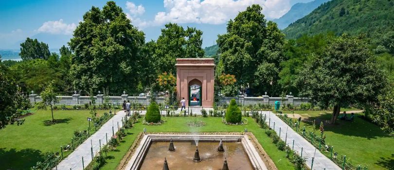 LUXURY KASHMIR for 2