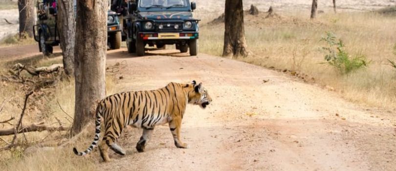 Top Tourist Places To Visit in Shravasti