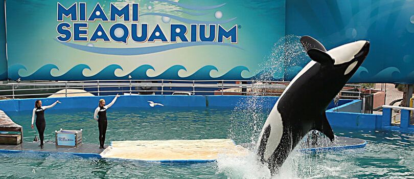 Miami Seaquarium