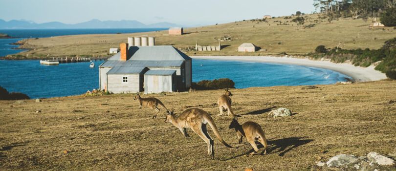 Maria Island National Park