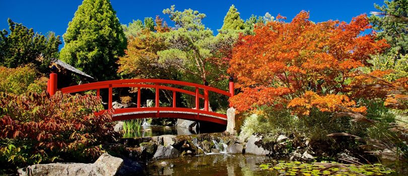 Royal Tasmanian Botanical Gardens