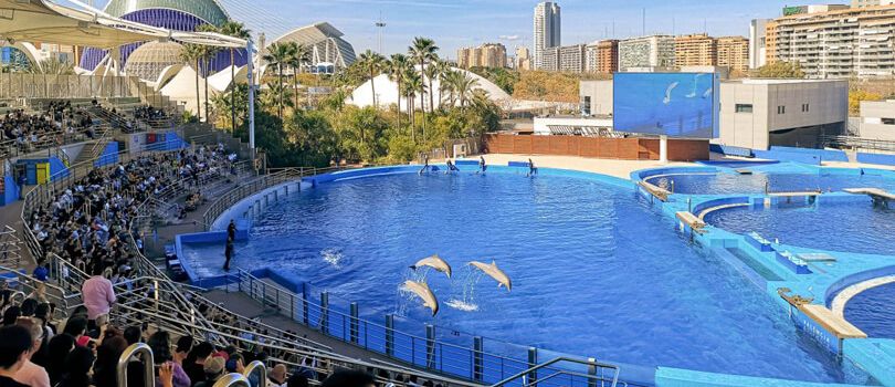 Oceanografic Valencia