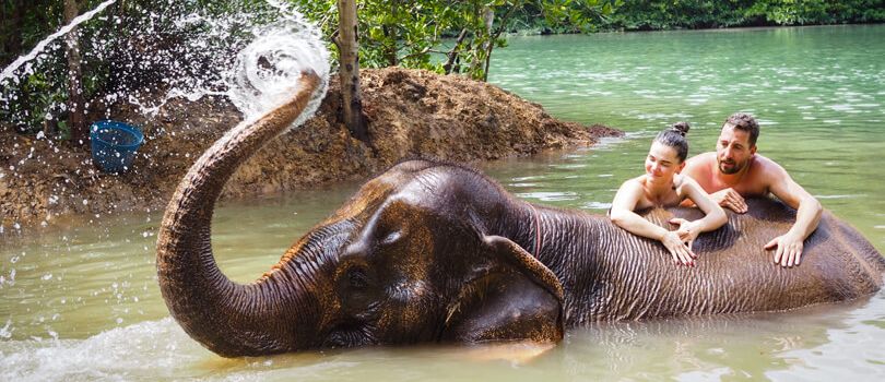 Krabi Elephant Sanctuary