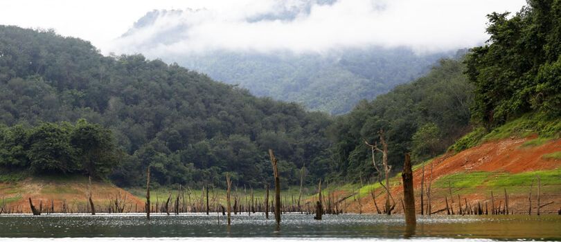 Hala Bala Wildlife Sanctuary