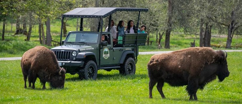 Northwest Trek Wildlife Park