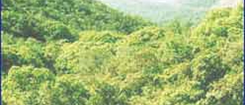 12 Jyotirlinga Temples Tour 20 Nights - 21 Days