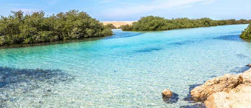 Ras Mohammed National Park