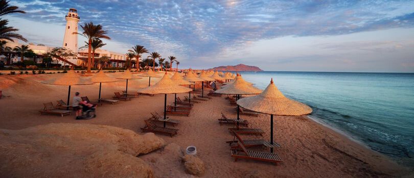 Sinai Peninsula Desert