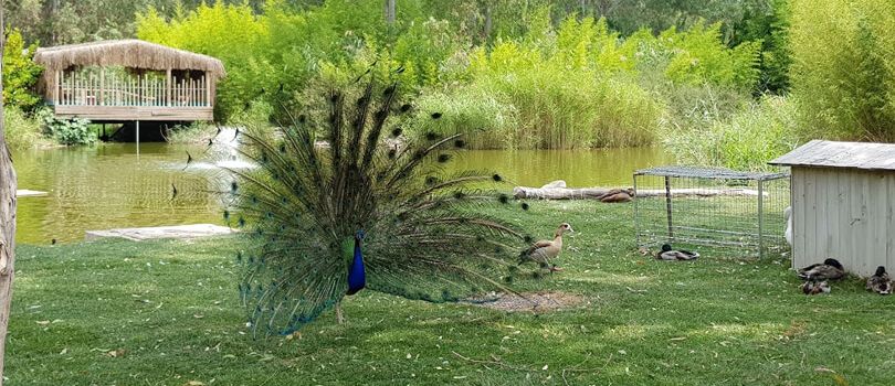 Izmir Wildlife Park