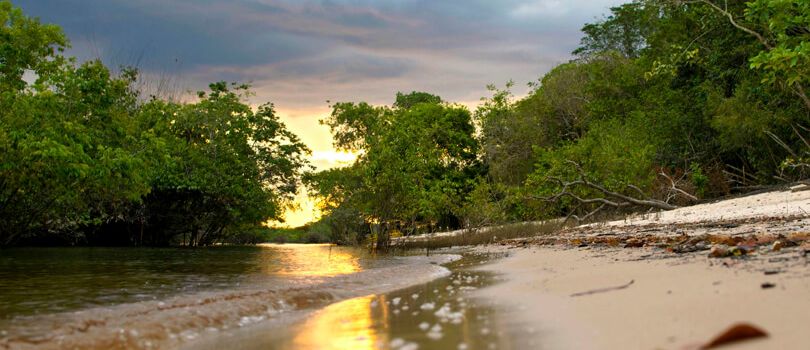 Parque Ecologico Januari