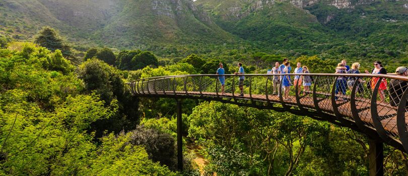 Kirstenbosch Botanical Gardens