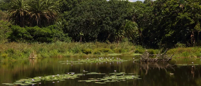 Kenneth Stainbank Nature Reserve