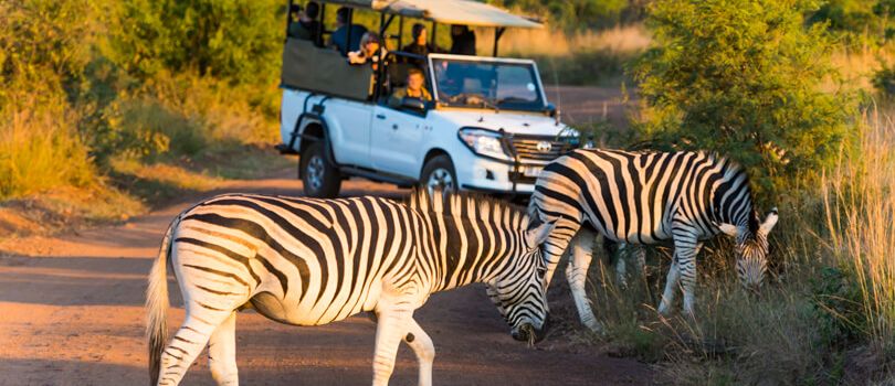 Pilanesberg National Park