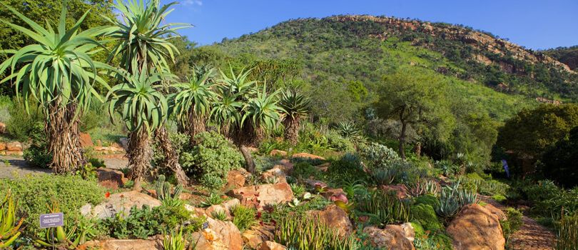 Walter Sisulu National Botanical Gardens